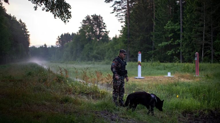 Lithuania and Poland assess cross-border evacuation procedures during national exercises