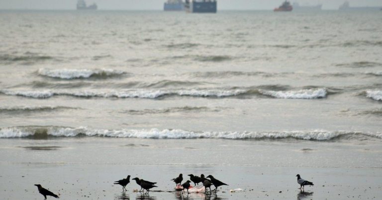 Iran hits US Kuwait base after strikes kill wedding guests; oil prices jump