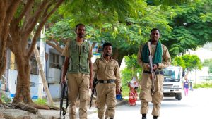 Ethiopia Eritrea Ties Sever After Mutual Embassy Closures and Diplomat Expulsions Amid Red Sea Fears